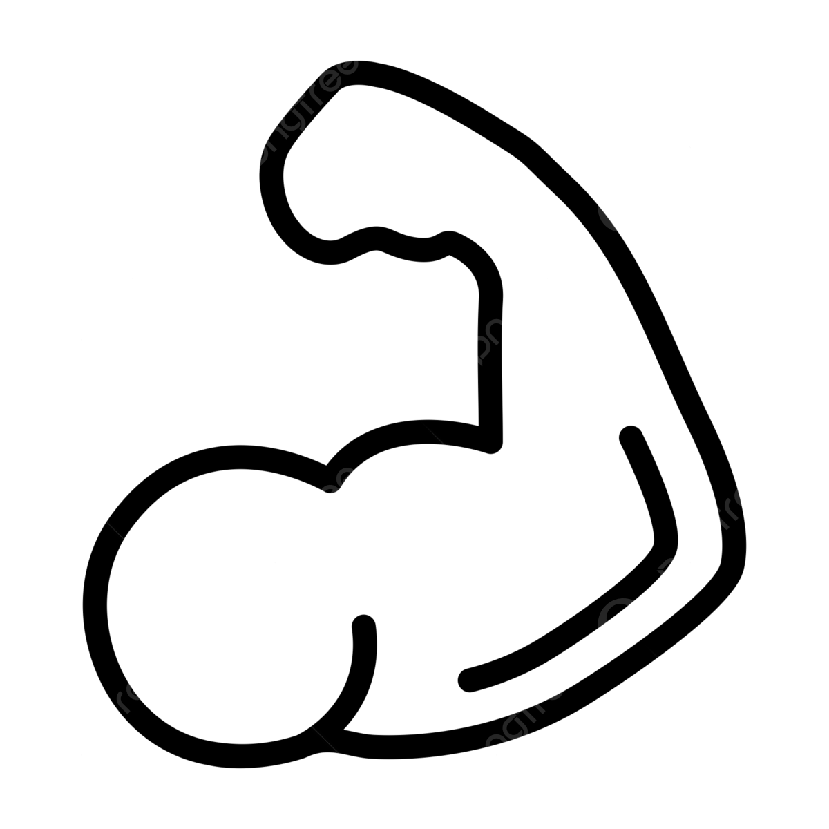VOLUME MUSCULAIRE